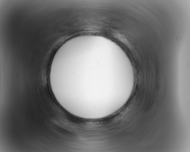 X0000088091451200706081740