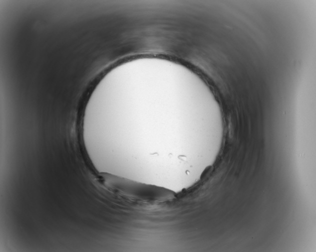 X0000088091452200706081740