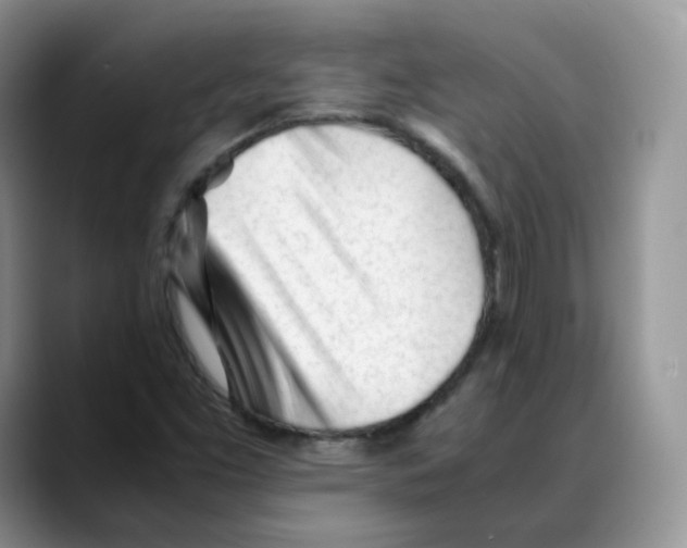 X0000088091453200706081740