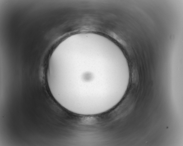 X0000088091454200706081740