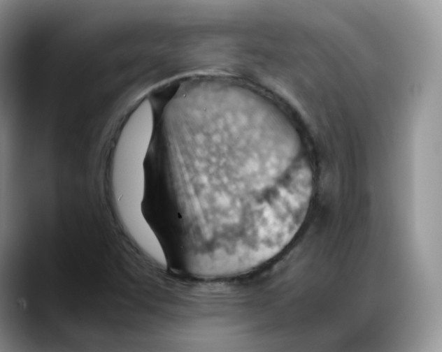 X0000088091455200706081740