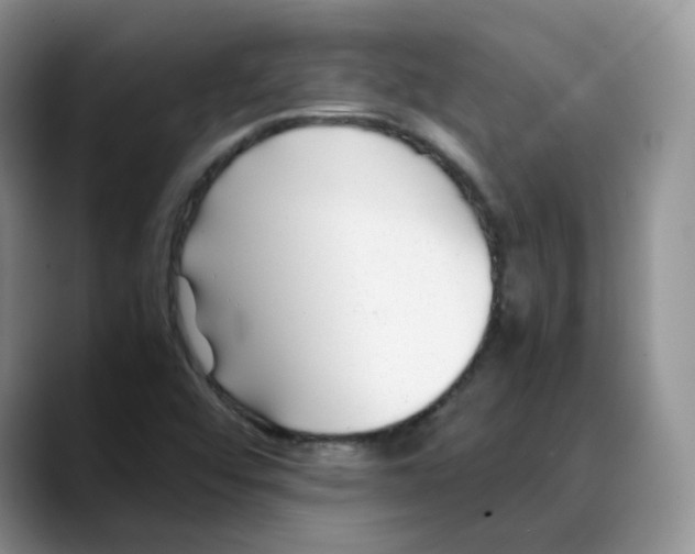 X0000088091456200706081740