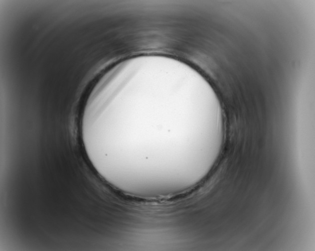 X0000088091458200706081740