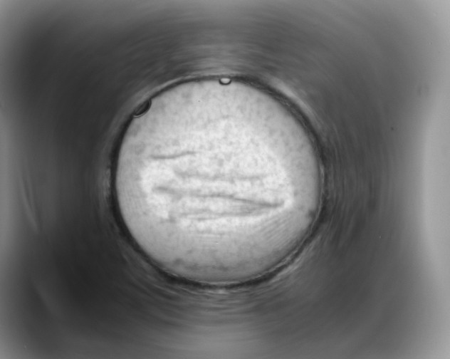 X0000088091459200706081740