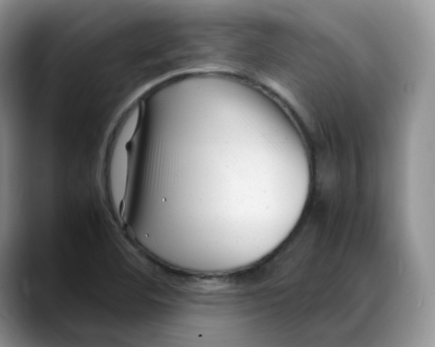 X0000088091460200706081740