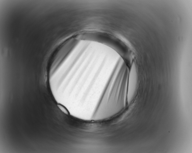 X0000088091461200706081740