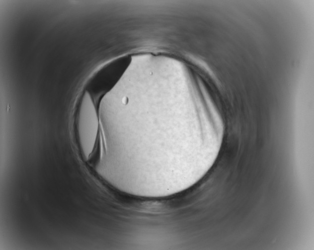 X0000088091463200706081740