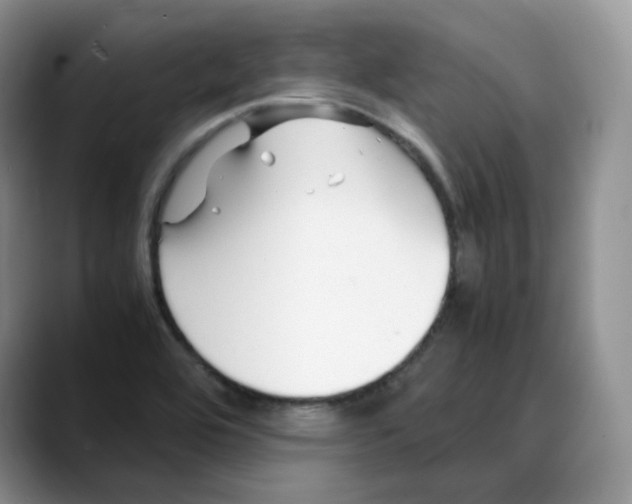 X0000088091464200706081740