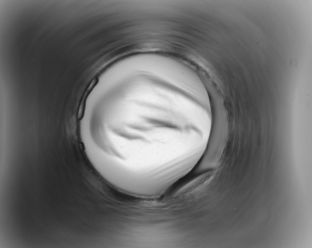 X0000088091465200706081740