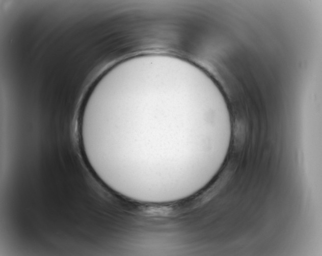 X0000088091466200706081740