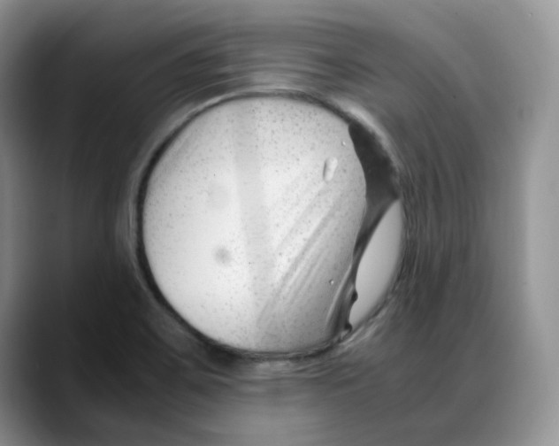 X0000088091467200706081740