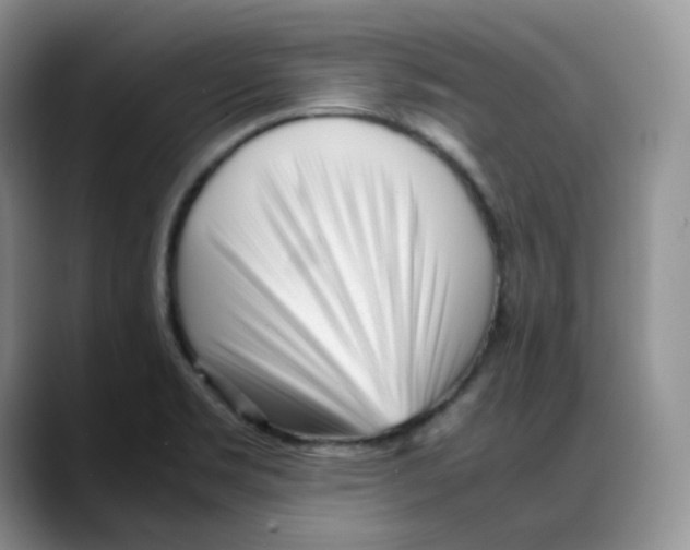 X0000088091469200706081740