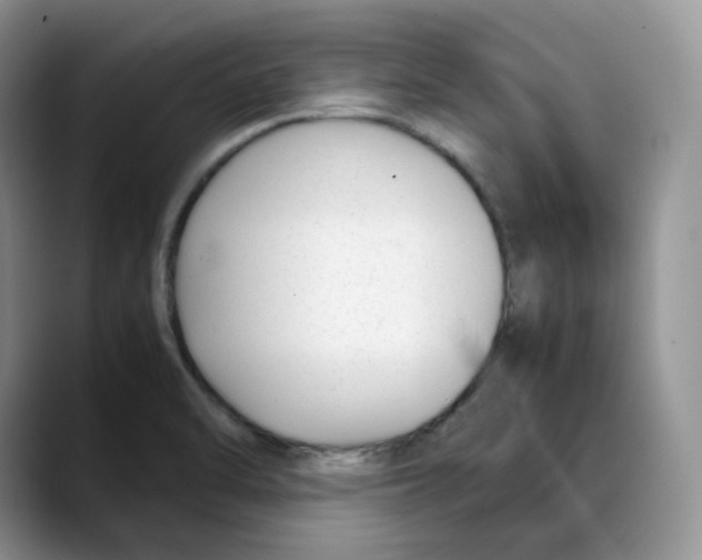 X0000088091470200706081740