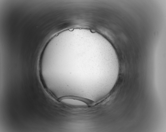 X0000088091471200706081740