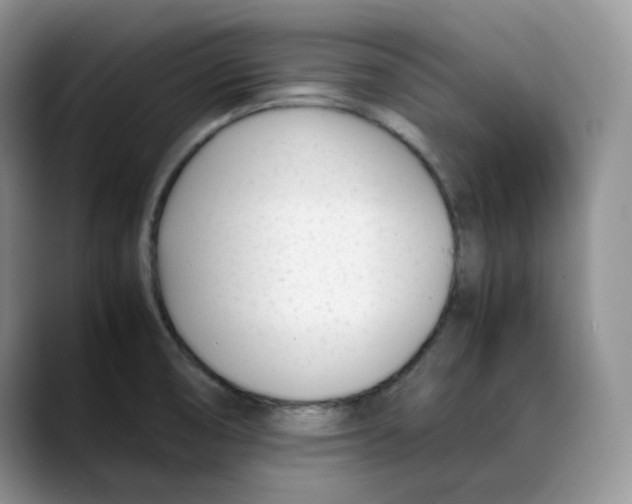 X0000088091474200706081740