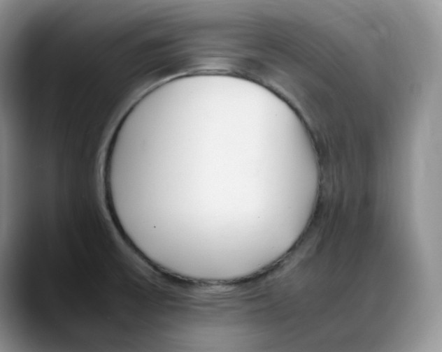 X0000088091475200706081740