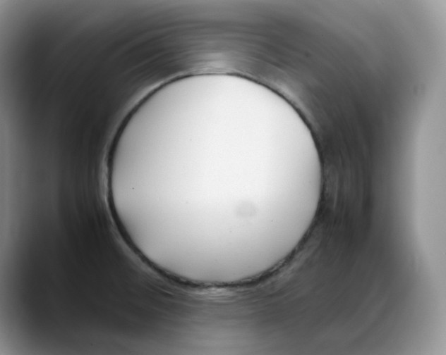 X0000088091476200706081740