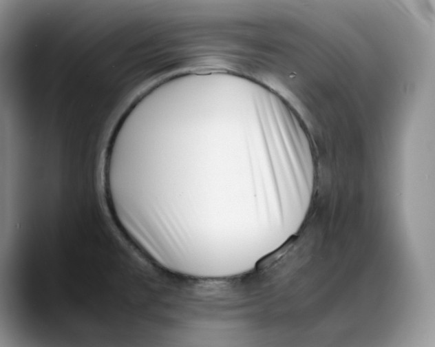 X0000088091477200706081740