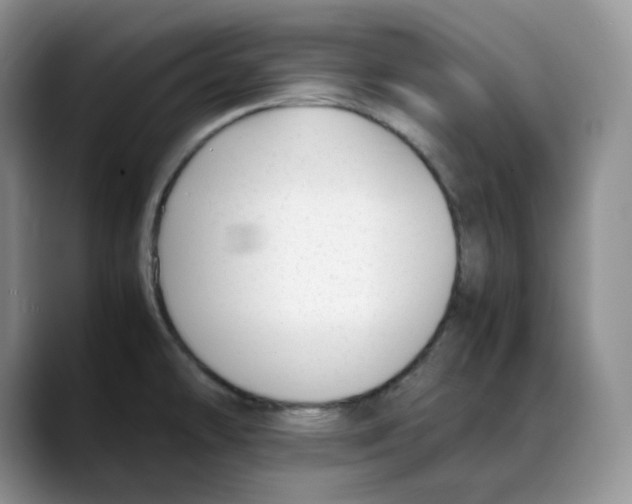 X0000088091478200706081740