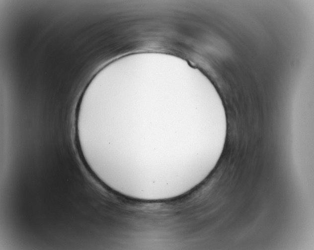 X0000088091479200706081740