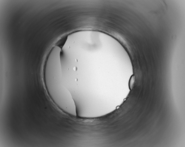 X0000088091480200706081740