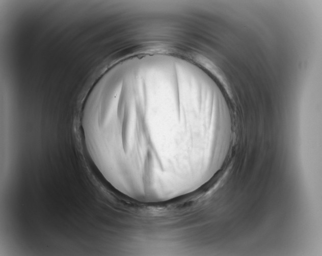 X0000088091481200706081740