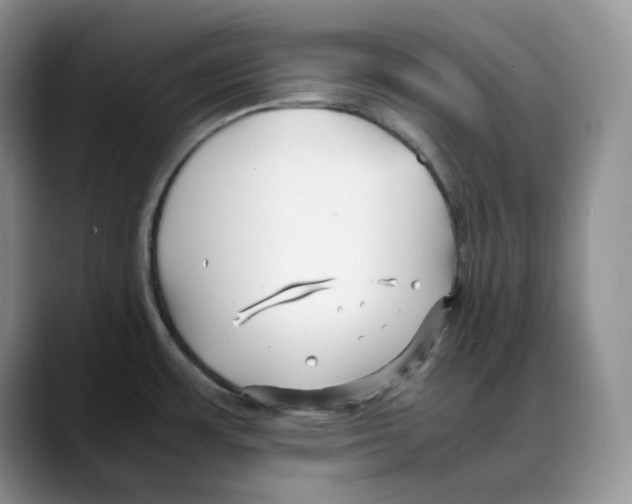 X0000088091483200706081740