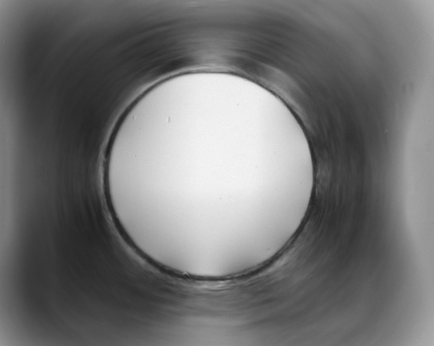 X0000088091484200706081740