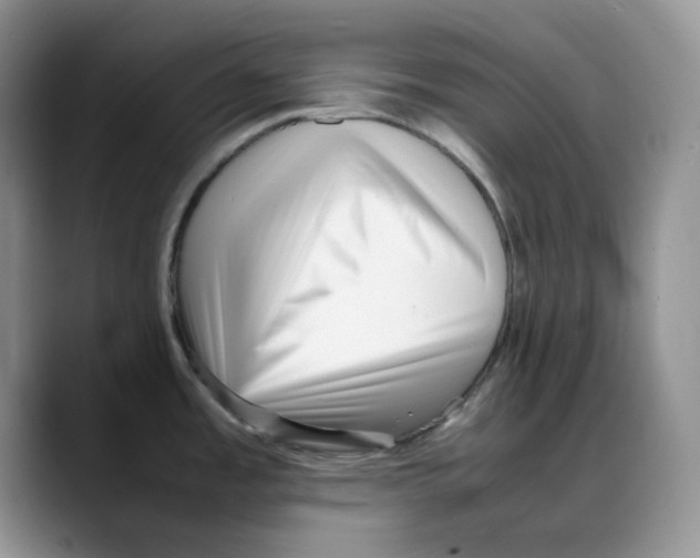 X0000088091485200706081740