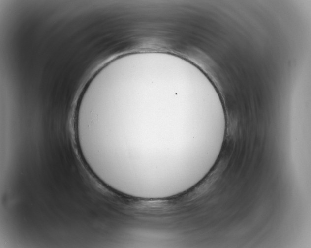 X0000088091486200706081740