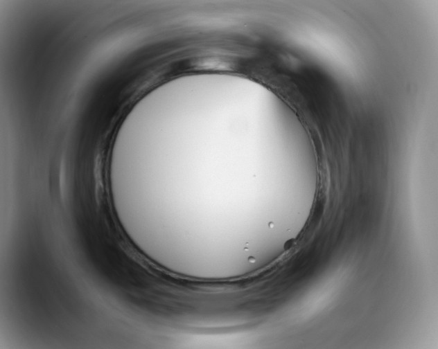 X0000088091487200706081740