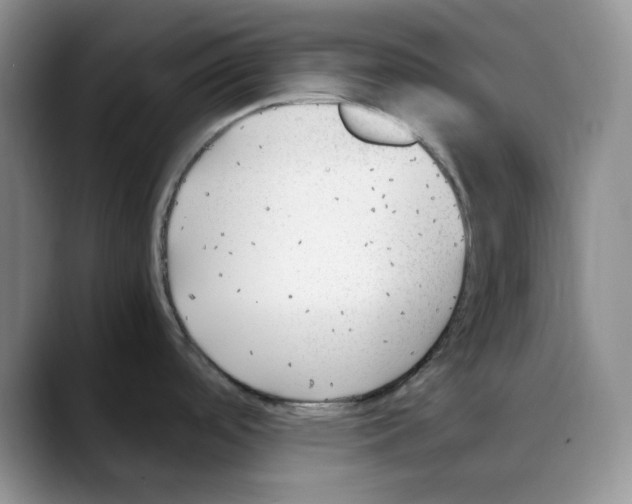 X0000088091488200706081740