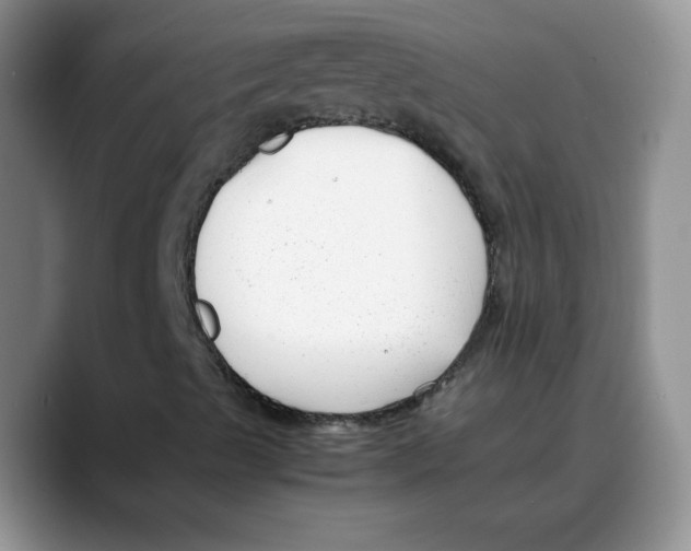 X0000088091489200706081739