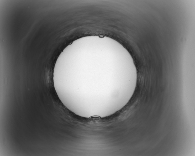 X0000088091490200706081739