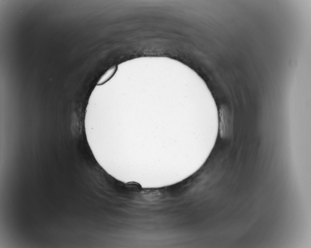 X0000088091491200706081739