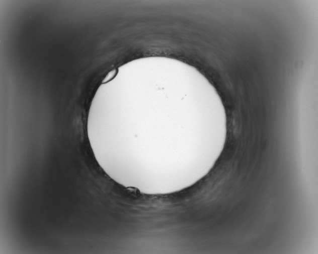 X0000088091493200706081739