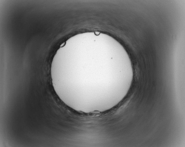 X0000088091494200706081739