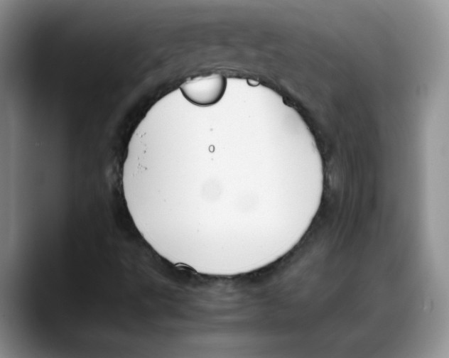 X0000088091495200706081739