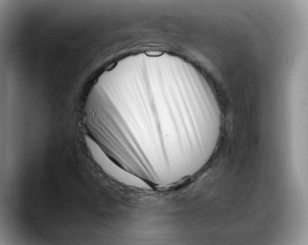 X0000088091496200706081739