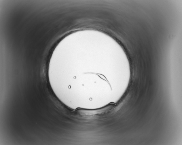 X0000088091498200706081739