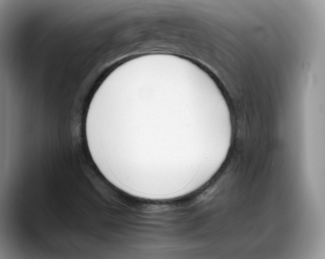 X0000088091499200706081739