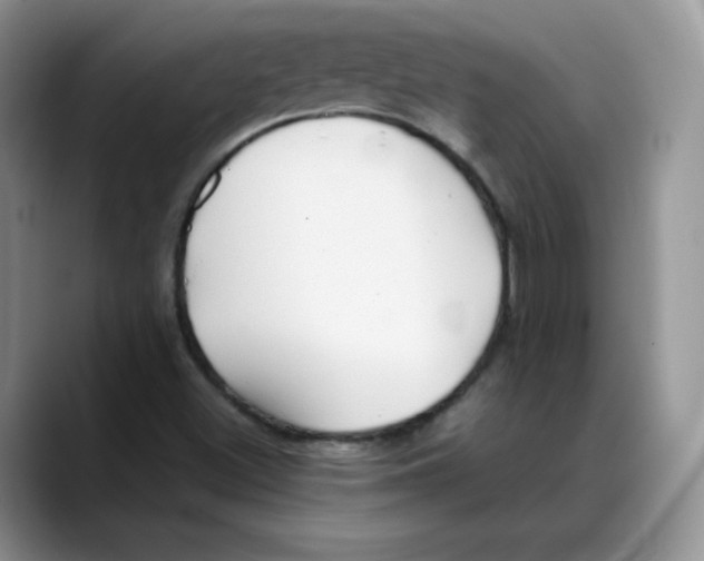 X0000088091500200706081739