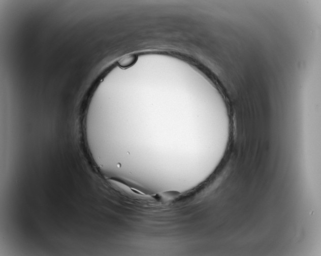 X0000088091501200706081739