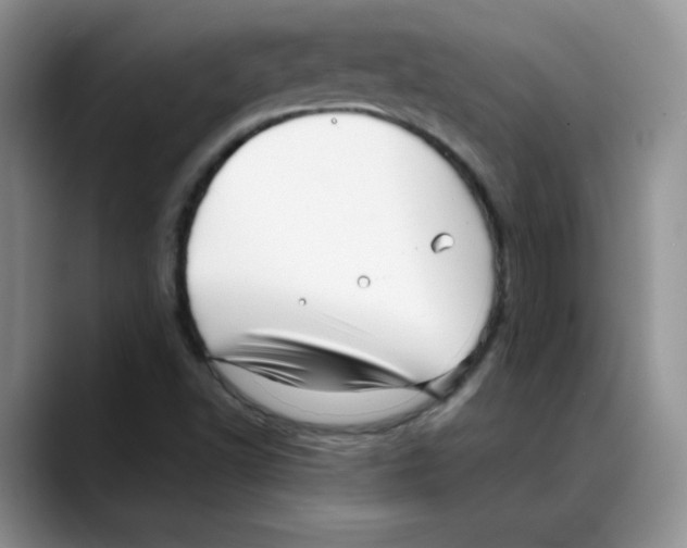 X0000088091502200706081739