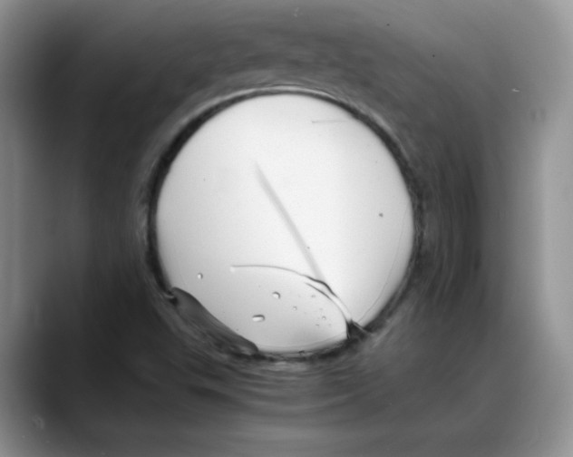 X0000088091503200706081739