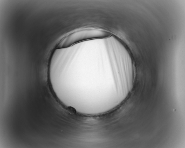 X0000088091504200706081739