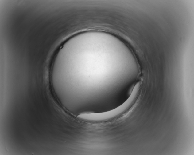 X0000088091506200706081739