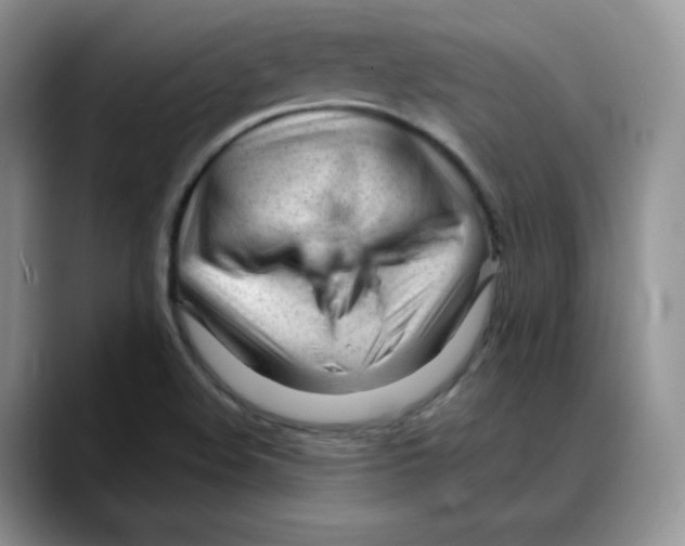 X0000088091508200706081739