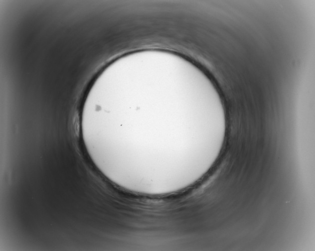 X0000088091509200706081739