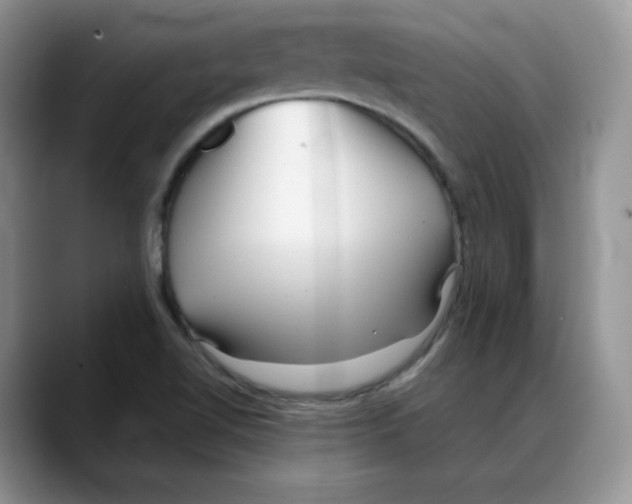 X0000088091510200706081740